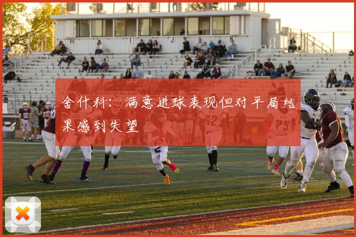 舍什科：满意进球表现但对平局结果感到失望